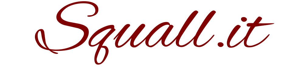 squall.it homepage logo